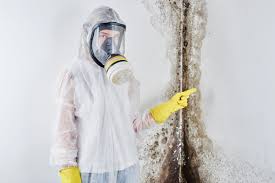  , USA Mold Remediation Pros